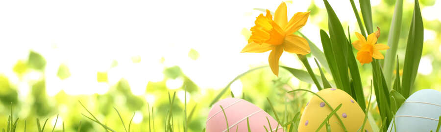 bunte Ostereier auf einer Wiese