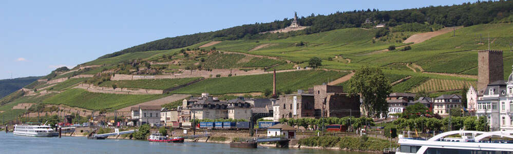 Panorama Rüdesheim mit Blick auf Niederwalddenkmal Landschaft mit Weinbergen, Häusern, Brömserburg, Bahngleisen. Vorne: Fluss mit Schiffen