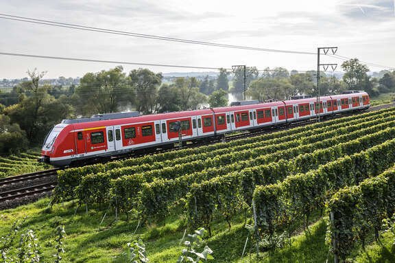 S-Bahn S1 in Fahrt S-Bahn S1 in Fahrt nebst Weinreben