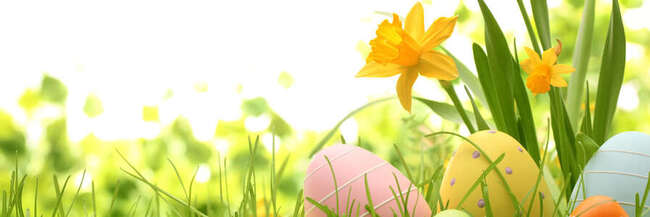 bunte Ostereier auf einer Wiese