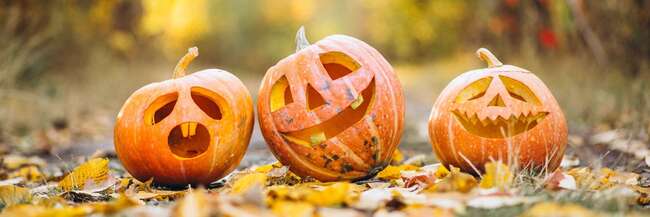 Drei Kürbisse mit geschnitzten Halloween-Gesichtern im Herbstwald.