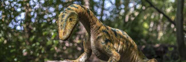 Eine kleine Dinosaurier-Figur auf einem Stein im Wald