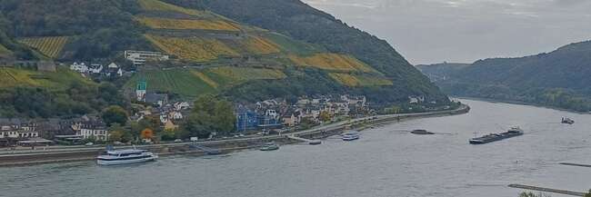 Der Rhein von oben