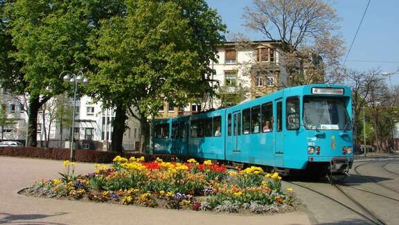 Osterhasen-Express Straßenbahn auf einem baumumstandenen Platz