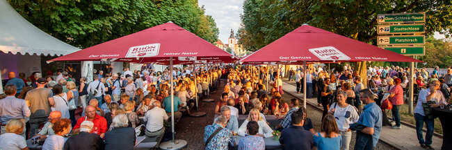 Fulda - geselliges Beisammensein Menschen sitzen gesellig auf Bierbänken in einer Allee beisammen.